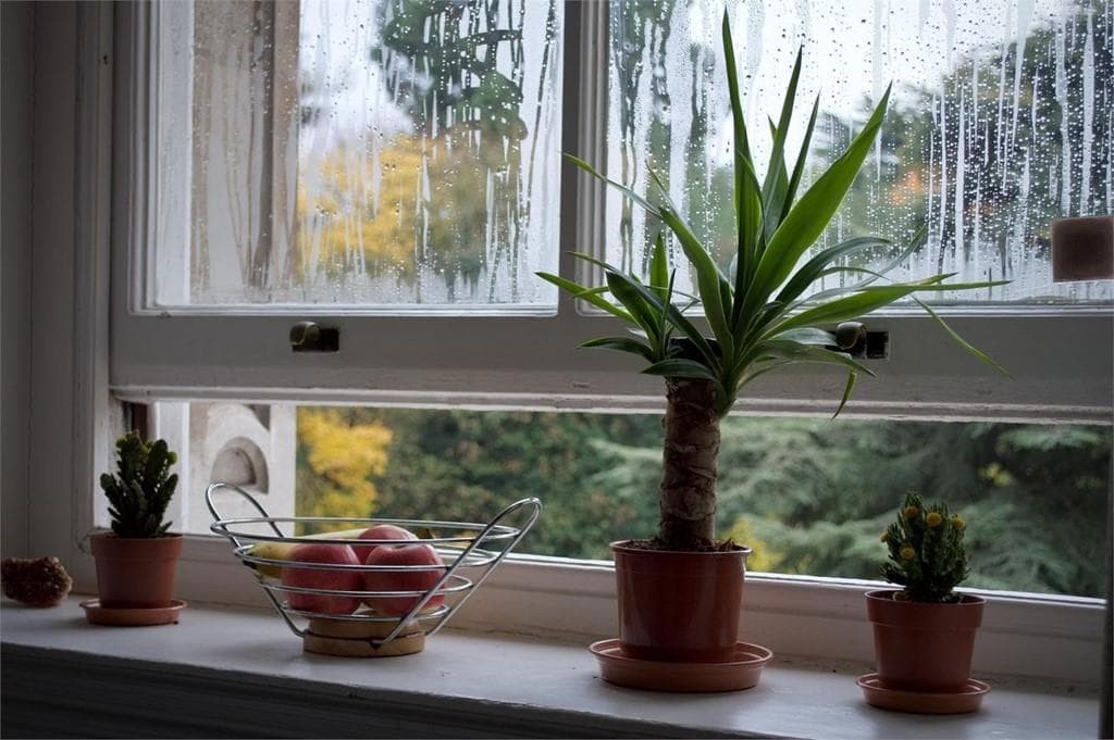 ¡Aísla tu vivienda del frío y del calor cambiando las ventanas!